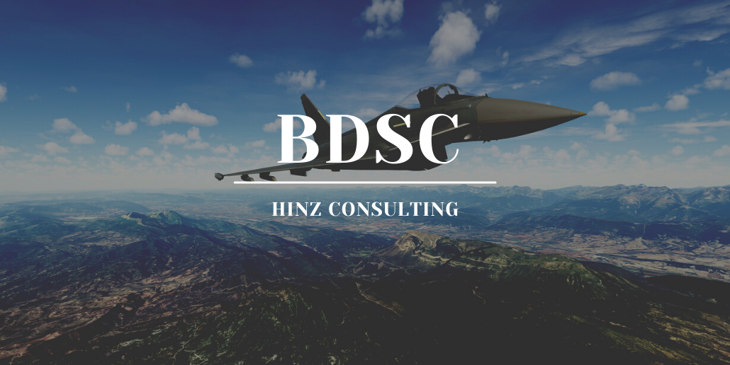 bdsc - Hinz Consulting