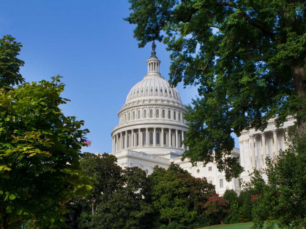 RFI in Government Contracting