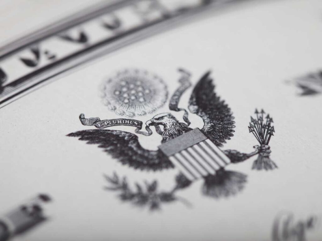 RFI in Government Contracting