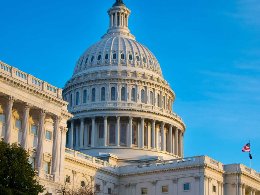 federal proposal writing services