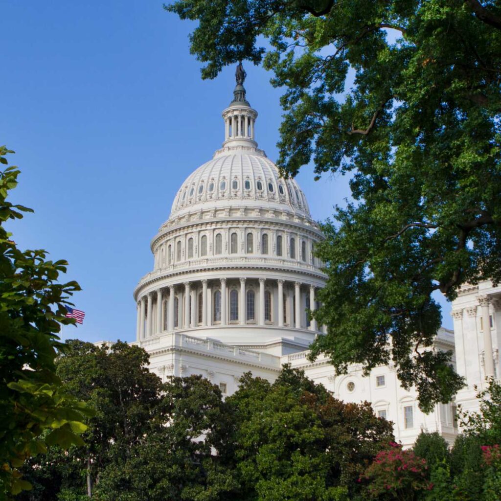 Government Proposal Consultants