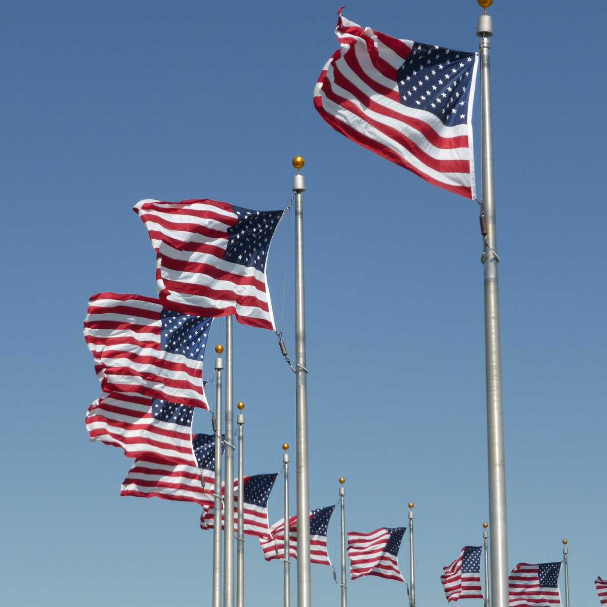 faqs-on-a-government-proposal-writer