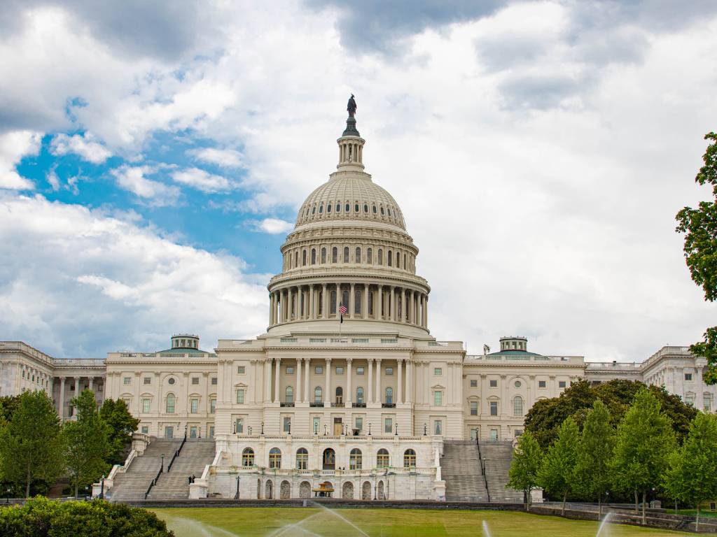 Government Solicitation Analysis