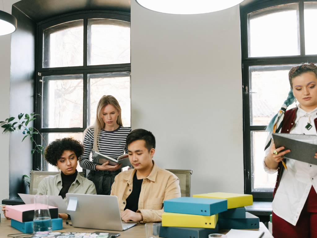 Government Customer Journey