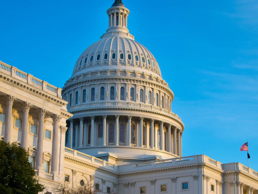 Federal Market Intelligence
