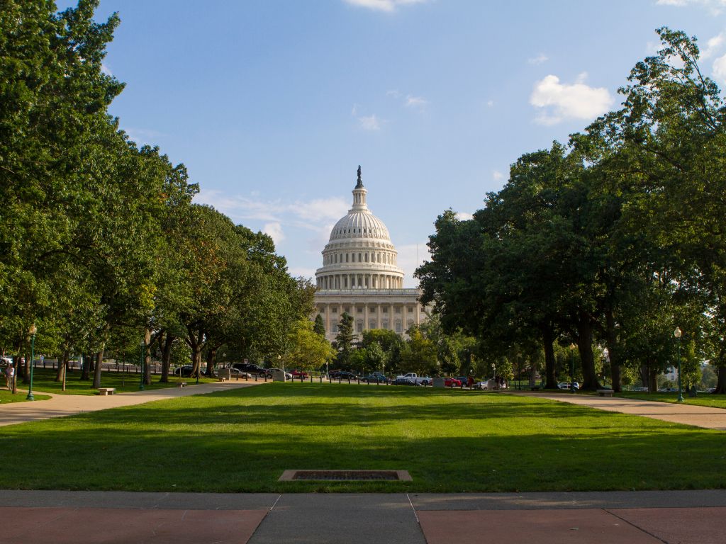 Government Contracting for Beginners