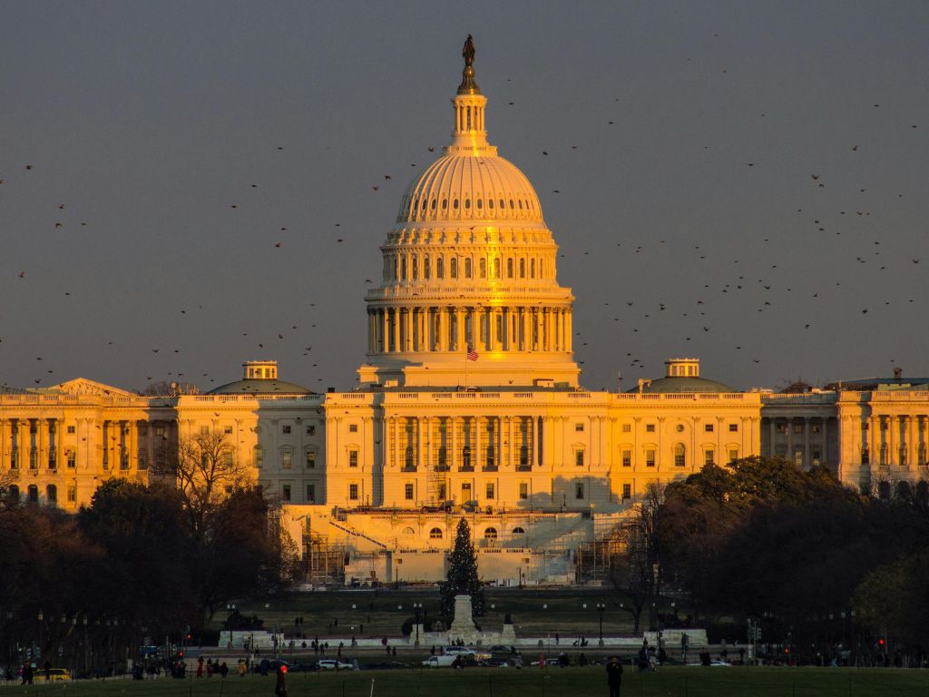 How to Find Government Contracts